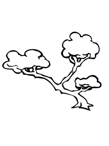 Bonsai Tree Coloring Page